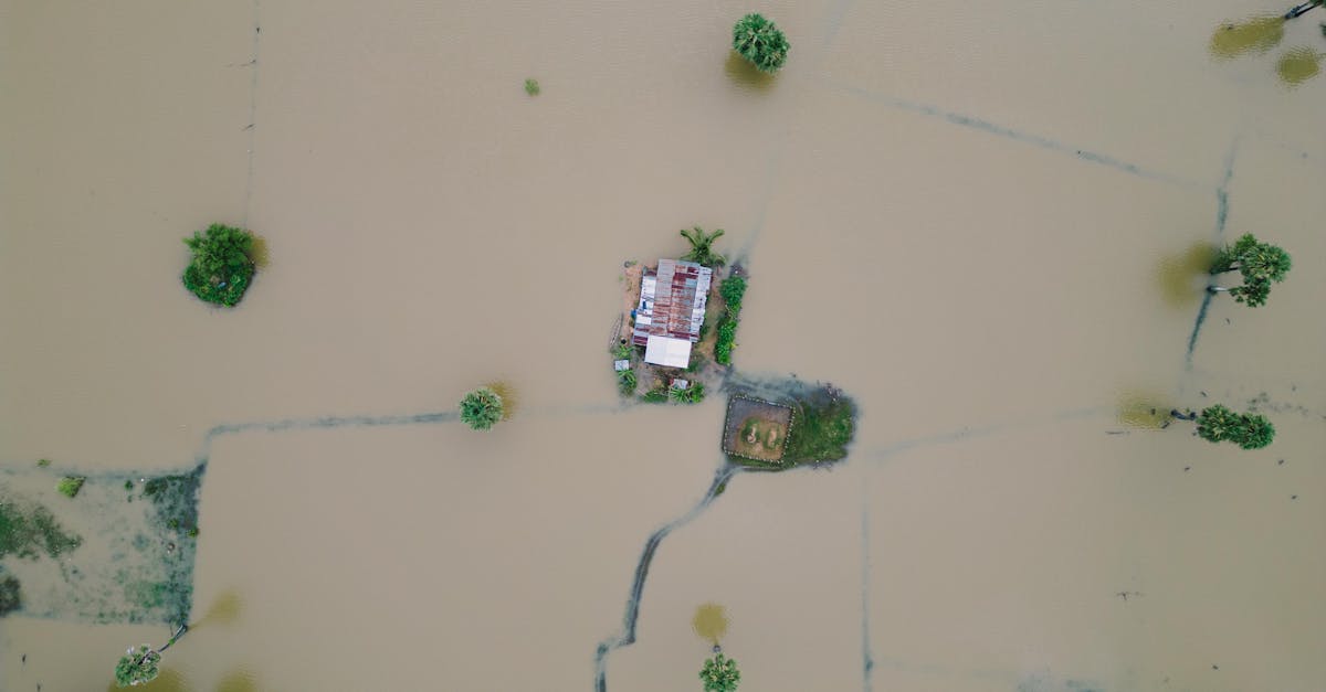 d&eacute;couvrez comment renforcer la r&eacute;silience climatique pour mieux anticiper, s'adapter et att&eacute;nuer les impacts des changements climatiques sur les communaut&eacute;s et les &eacute;cosyst&egrave;mes.