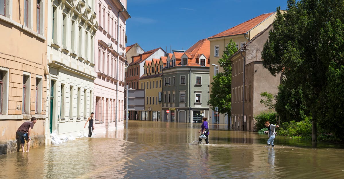 d&eacute;couvrez comment renforcer la r&eacute;silience face aux changements climatiques pour prot&eacute;ger les communaut&eacute;s et les &eacute;cosyst&egrave;mes.