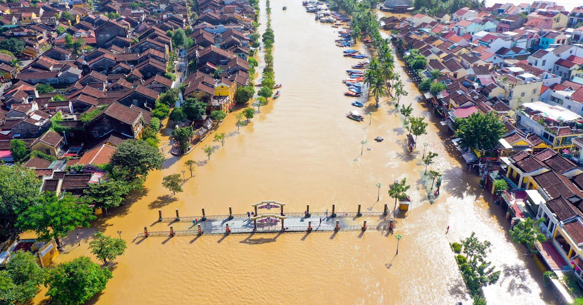 d&eacute;couvrez comment renforcer la r&eacute;silience climatique pour mieux anticiper, s&rsquo;adapter et faire face aux impacts du changement climatique.