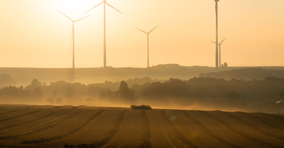 d&eacute;couvrez les causes, impacts et solutions du r&eacute;chauffement climatique en europe pour mieux comprendre les enjeux environnementaux du continent.