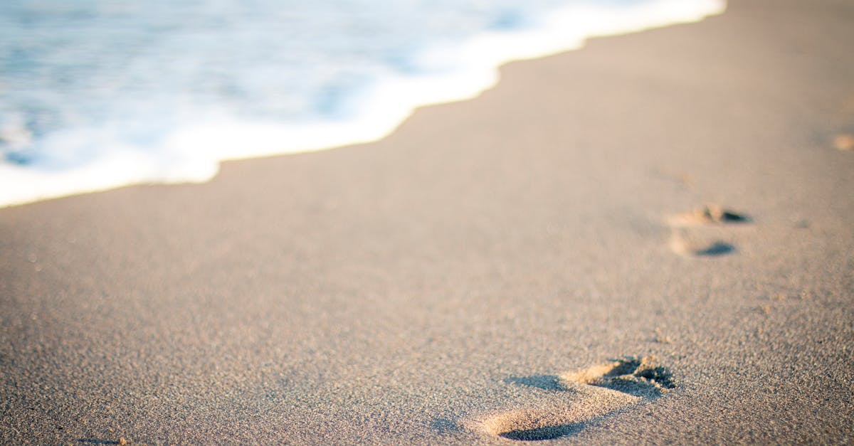d&eacute;couvrez ce qu'est l'empreinte &eacute;cologique, un indicateur cl&eacute; qui mesure l'impact de nos activit&eacute;s sur l'environnement et les ressources naturelles de la plan&egrave;te.