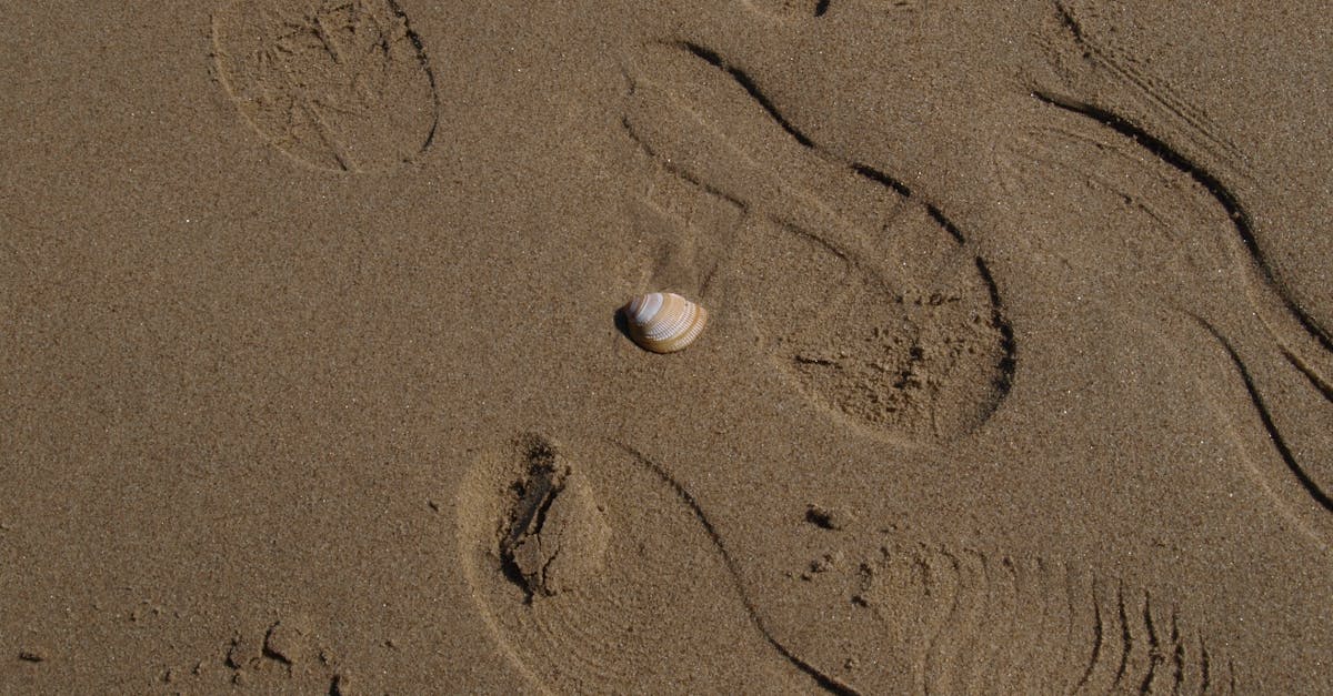 d&eacute;couvrez ce qu'est l'empreinte &eacute;cologique, son impact sur l'environnement et comment r&eacute;duire votre consommation de ressources naturelles pour un mode de vie plus durable.