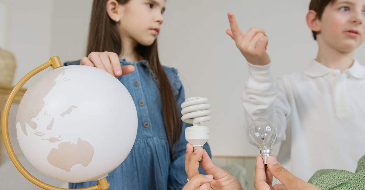 d&eacute;couvrez les enjeux et les solutions de l'&eacute;ducation &agrave; la transition &eacute;cologique pour un avenir durable et respectueux de l'environnement.