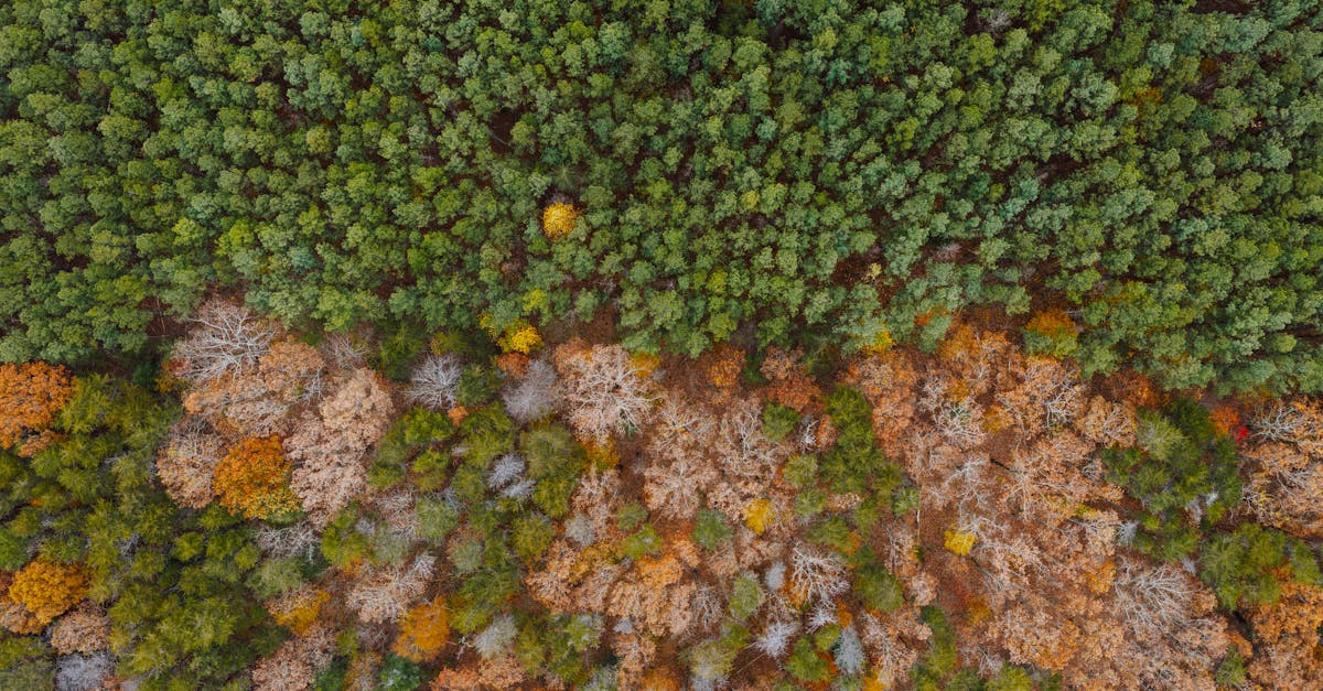 découvrez les enjeux et solutions de la transition écologique pour un avenir durable et respectueux de l'environnement.