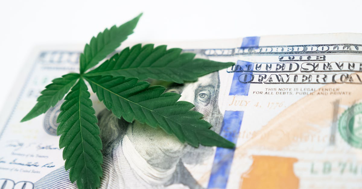 analyse de l'impact économique des événements et politiques sur les marchés, l'emploi et la croissance financière.