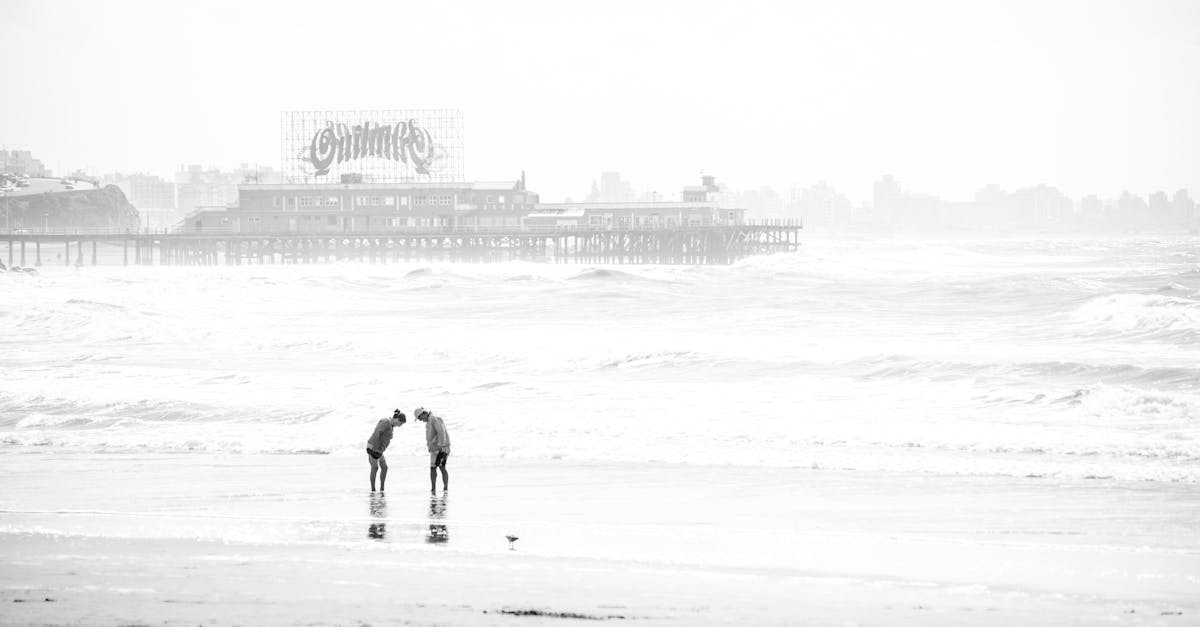 découvrez tout sur el niño, le phénomène climatique influençant le climat mondial, ses causes, effets et impacts environnementaux.
