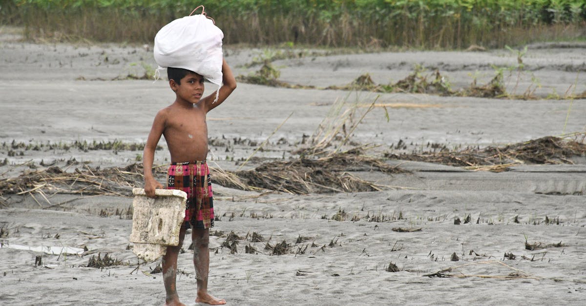 découvrez tout sur el niño, le phénomène climatique majeur qui influence le climat mondial, ses causes, ses effets et son impact sur l'environnement.