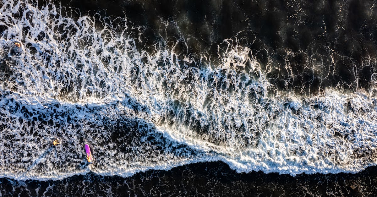 d&eacute;couvrez tout sur el ni&ntilde;o, ce ph&eacute;nom&egrave;ne climatique majeur qui influence le climat mondial, ses causes, ses effets et son impact sur l&rsquo;environnement.