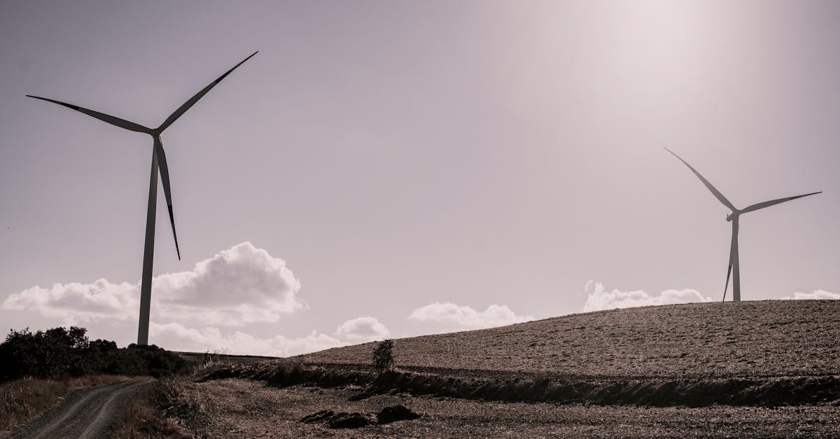 d&eacute;couvrez les enjeux et solutions de la transition &eacute;nerg&eacute;tique pour un avenir durable et respectueux de l'environnement.