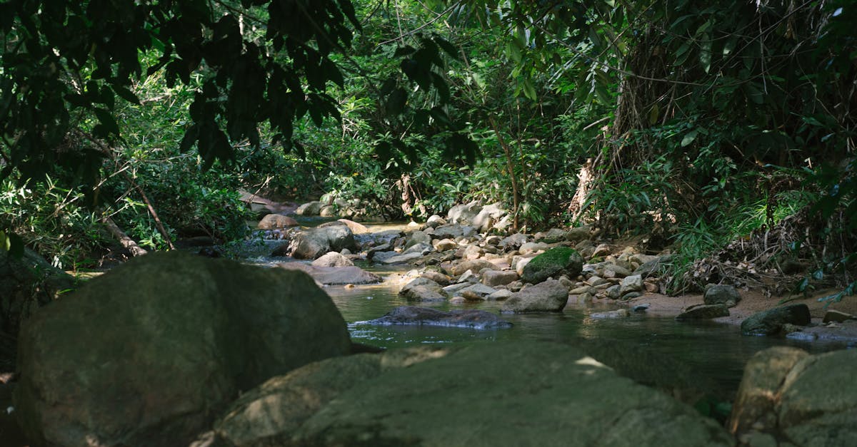 d&eacute;couvrez des informations essentielles et des conseils pratiques pour pr&eacute;server notre environnement et promouvoir un d&eacute;veloppement durable.