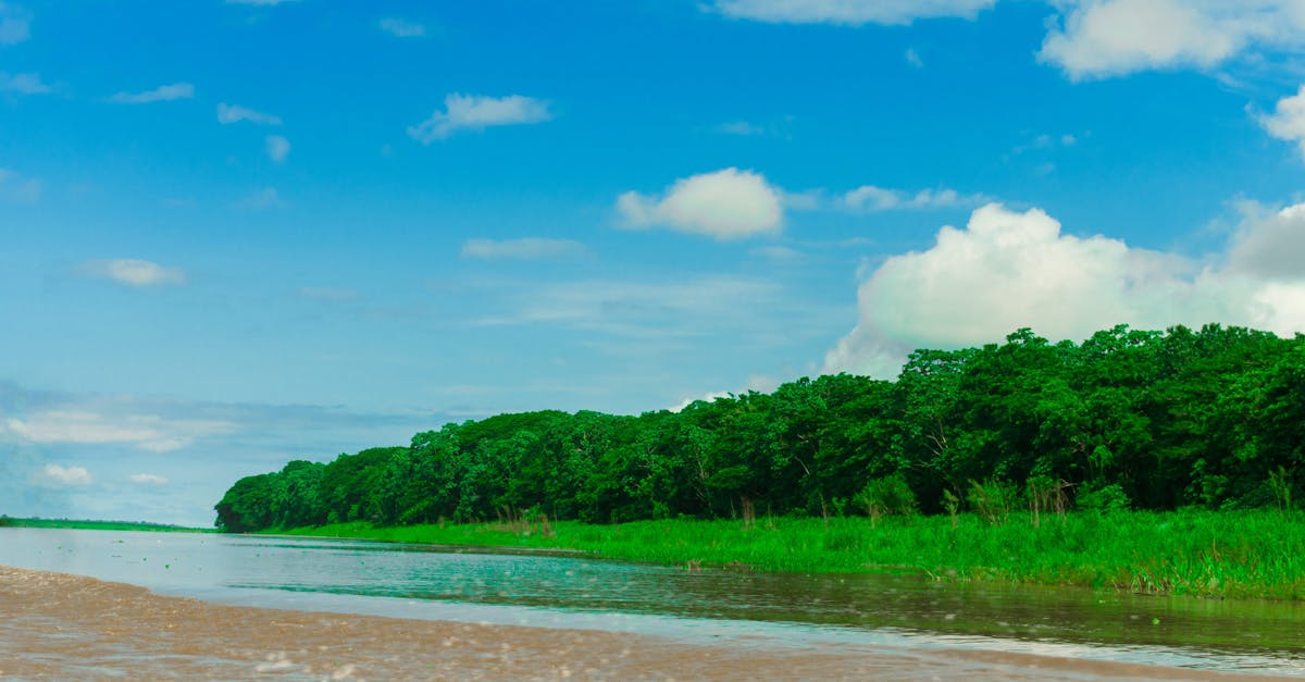 d&eacute;couvrez des informations essentielles et des conseils pratiques pour prot&eacute;ger et pr&eacute;server notre environnement, promouvoir le d&eacute;veloppement durable et sensibiliser &agrave; l'impact &eacute;cologique.