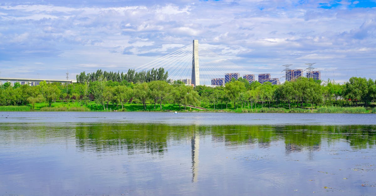 d&eacute;couvrez des informations essentielles sur l'environnement, les enjeux &eacute;cologiques et les solutions pour pr&eacute;server notre plan&egrave;te.
