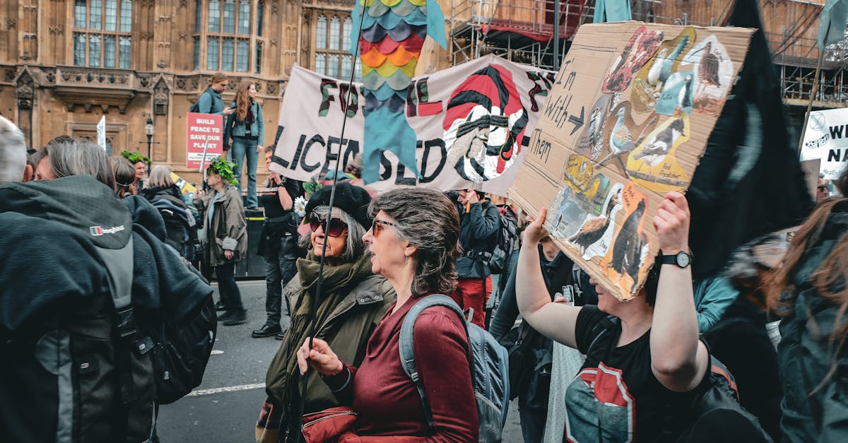 d&eacute;couvrez l'activisme environnemental : mobilisations, actions concr&egrave;tes et engagement pour la protection de la plan&egrave;te et la lutte contre le changement climatique.