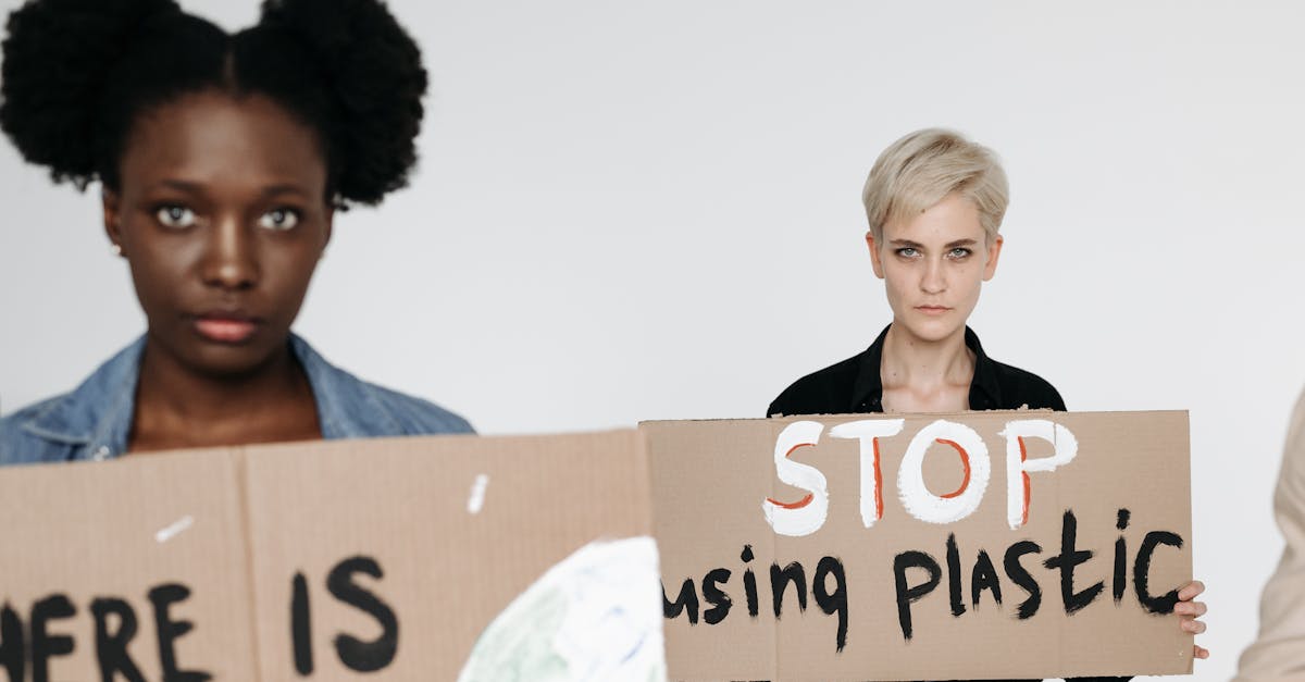 d&eacute;couvrez l'activisme environnemental : mobilisations, actions et initiatives pour prot&eacute;ger notre plan&egrave;te et promouvoir un d&eacute;veloppement durable.