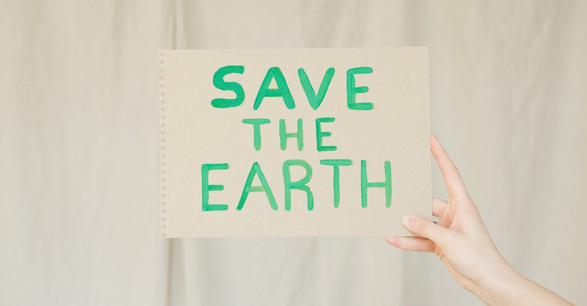 sensibilisation &agrave; l'environnement : comprendre l'importance de prot&eacute;ger notre plan&egrave;te et adopter des comportements &eacute;coresponsables pour un avenir durable.