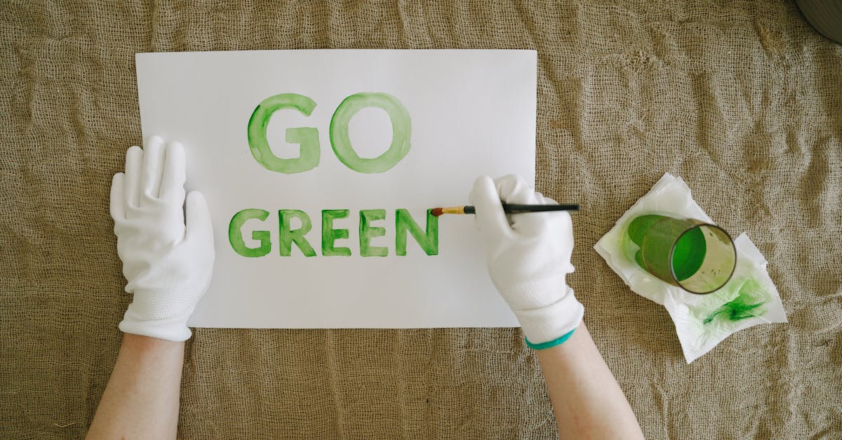 sensibilisation &agrave; l'environnement : d&eacute;couvrez comment prot&eacute;ger la plan&egrave;te et adopter des pratiques durables au quotidien.