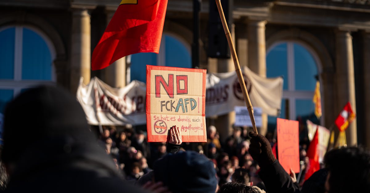 découvrez l'actualité et l'analyse de la politique en flandre, incluant les partis, les décisions gouvernementales et les enjeux régionaux.