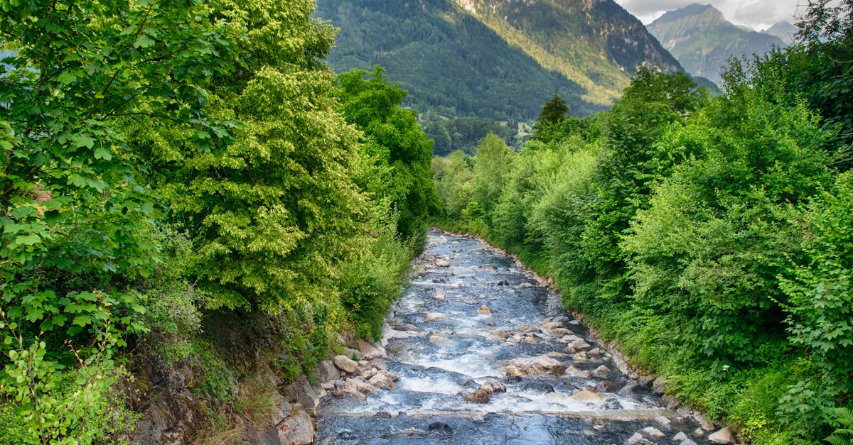 d&eacute;couvrez g7 environment, expert en gestion des d&eacute;chets et solutions &eacute;cologiques innovantes pour un environnement plus propre et durable.