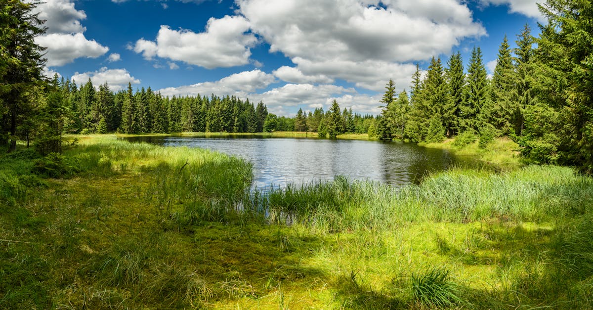 d&eacute;couvrez g7 environment, expert en gestion durable de l'environnement et solutions &eacute;cologiques innovantes pour un avenir responsable.