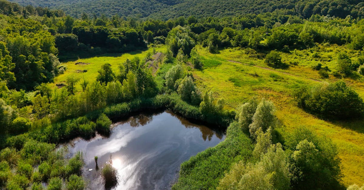 g7 environment : expertise et solutions innovantes pour la gestion durable de l'environnement et la protection de la plan&egrave;te.