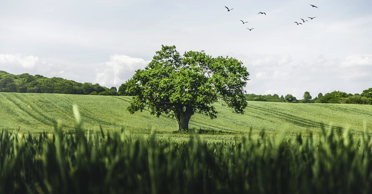 d&eacute;couvrez g7 environment, expert en solutions innovantes pour la protection et la gestion durable de l'environnement.