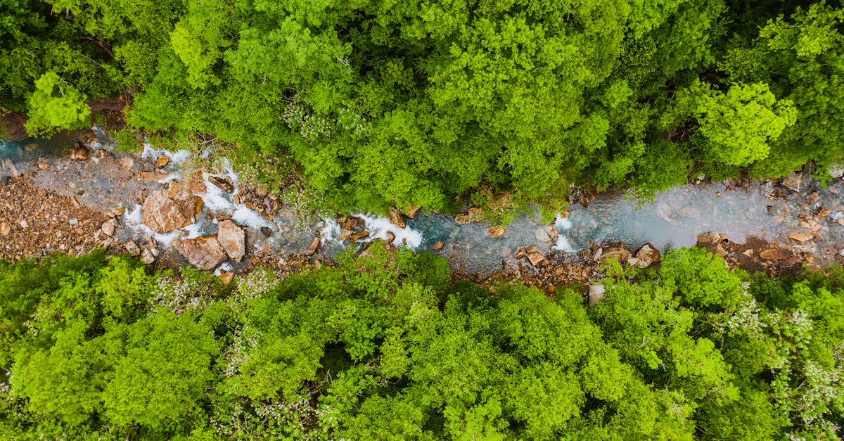 g7 environment : solutions innovantes pour la gestion durable de l'environnement et la protection des ressources naturelles.