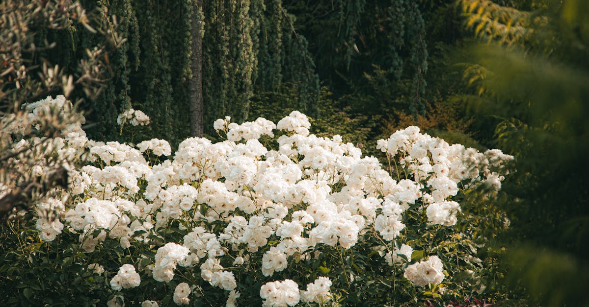 d&eacute;couvrez des id&eacute;es et conseils pour cr&eacute;er et entretenir votre jardin, du potager aux espaces floraux, pour un ext&eacute;rieur agr&eacute;able et verdoyant.