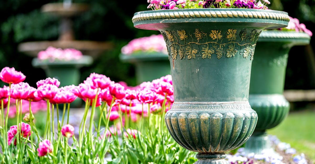 d&eacute;couvrez des id&eacute;es et conseils pour cr&eacute;er et entretenir un jardin magnifique, que ce soit un potager, un jardin fleuri ou un espace d&eacute;tente en plein air.