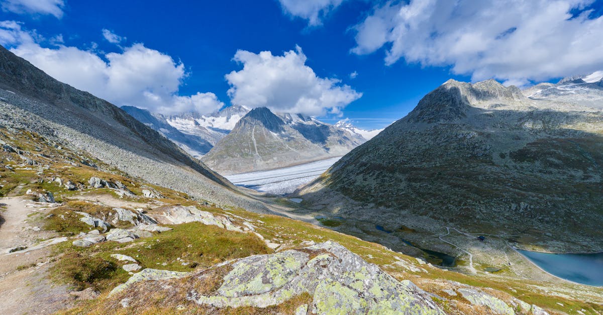 d&eacute;couvrez tout sur les glaciers : formations, &eacute;volution, impact sur l'environnement et importance dans le climat mondial.