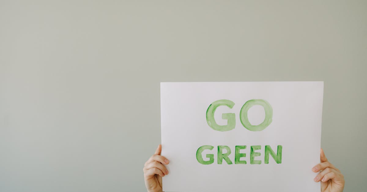 d&eacute;couvrez ce qu'est le greenwashing, ses techniques et comment identifier les pratiques marketing trompeuses pr&eacute;tendant &ecirc;tre &eacute;cologiques.