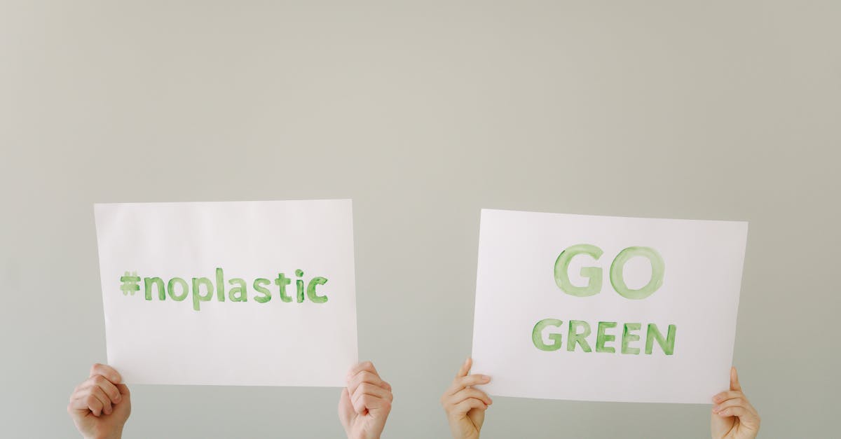 le greenwashing d&eacute;signe les pratiques marketing visant &agrave; pr&eacute;senter une entreprise ou un produit comme &eacute;cologiquement responsable, alors que leurs actions r&eacute;elles ne le sont pas.