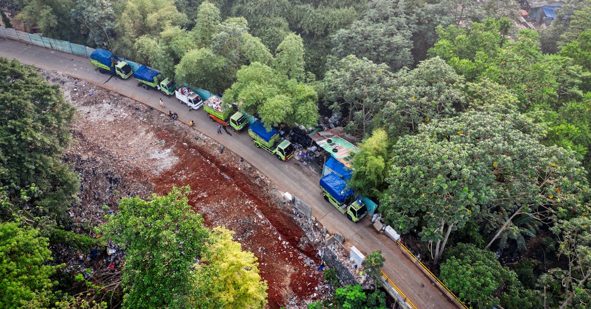 d&eacute;couvrez pourquoi l'inde a d&eacute;cid&eacute; de d&eacute;cliner la cop33, les raisons et les implications de ce choix pour la conf&eacute;rence climatique internationale.