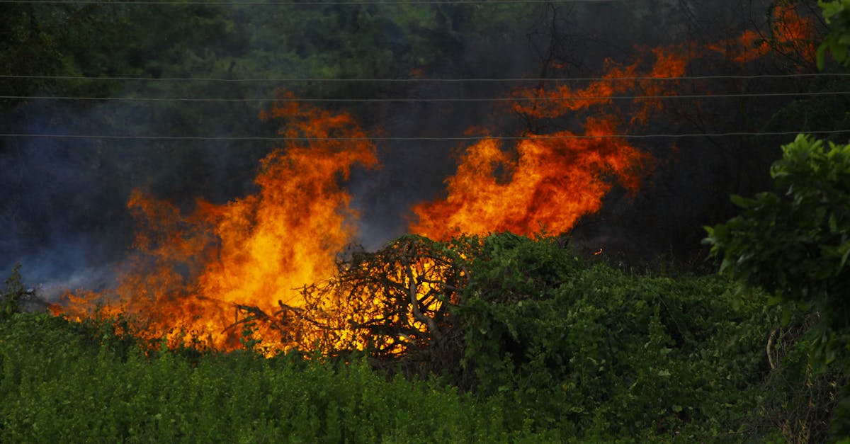 analyse des impacts environnementaux du conflit en iran, incluant la d&eacute;gradation des ressources naturelles et les cons&eacute;quences &eacute;cologiques durables.