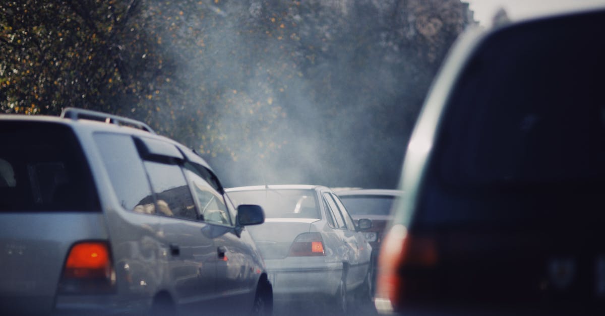 d&eacute;couvrez tout sur les zones &agrave; faibles &eacute;missions : r&egrave;gles, v&eacute;hicules concern&eacute;s et impact environnemental pour un air plus pur en ville.