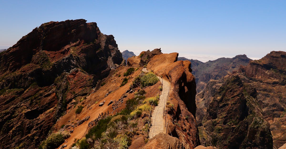 d&eacute;couvrez les sentiers de randonn&eacute;e &agrave; mad&egrave;re, une &icirc;le aux paysages &eacute;poustouflants, id&eacute;ale pour les amateurs de nature et d'aventure.