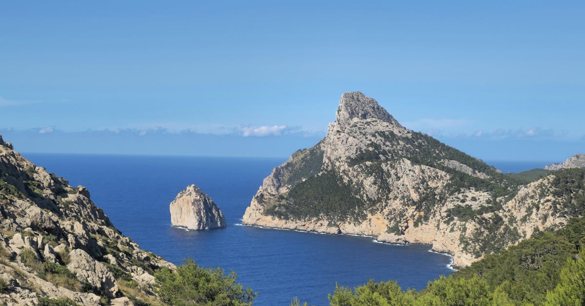 d&eacute;couvrez les efforts et initiatives pour la conservation de la biodiversit&eacute; en m&eacute;diterran&eacute;e, unissant protection marine, restauration des &eacute;cosyst&egrave;mes et d&eacute;veloppement durable.