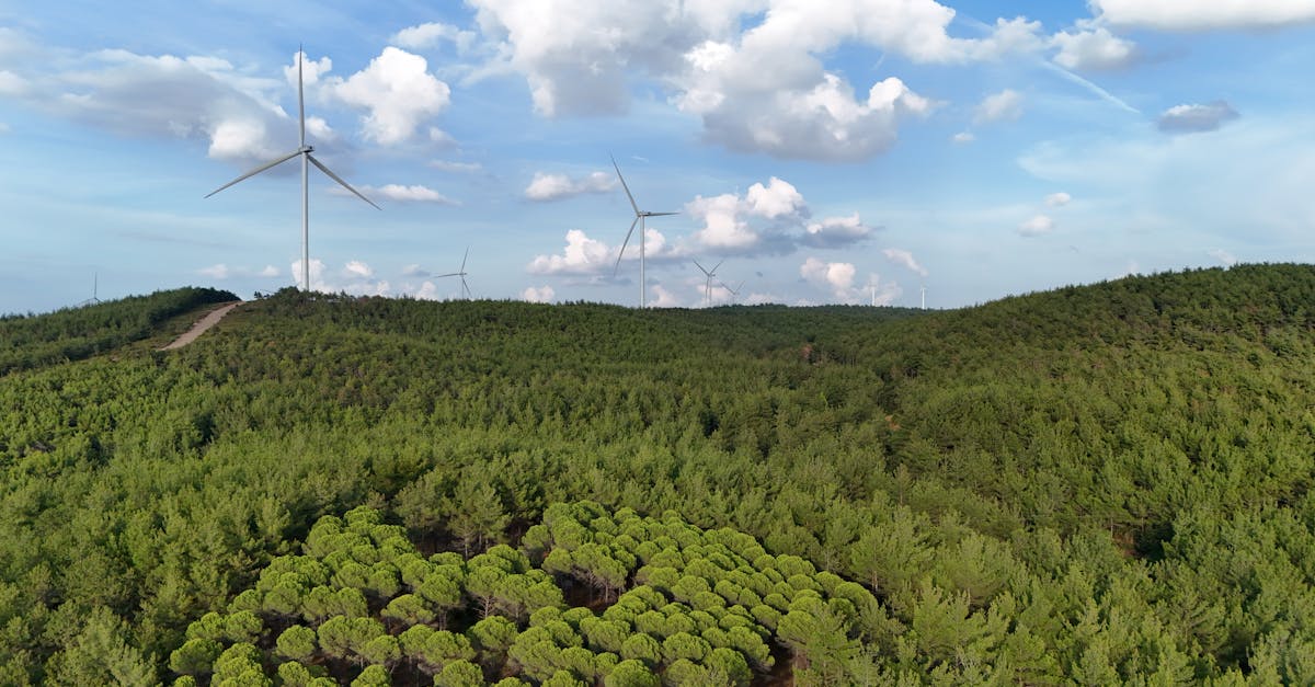d&eacute;couvrez les initiatives et les actions pour la conservation de la m&eacute;diterran&eacute;e, pr&eacute;servant sa biodiversit&eacute; unique et ses &eacute;cosyst&egrave;mes marins fragiles.