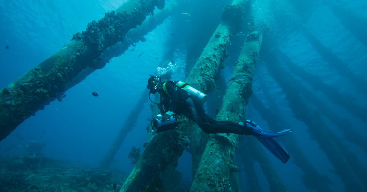 d&eacute;couvrez les &eacute;v&eacute;nements oc&eacute;anographiques majeurs, leurs impacts sur l'environnement marin et les avanc&eacute;es scientifiques dans l'&eacute;tude des oc&eacute;ans.
