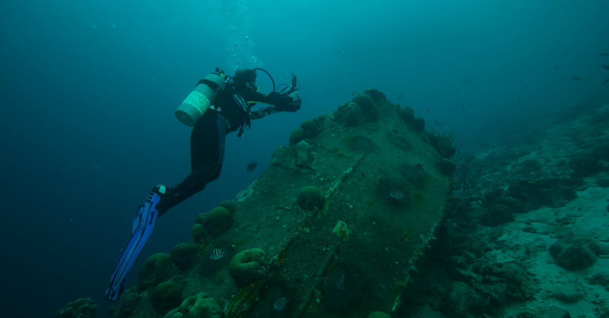 d&eacute;couvrez les &eacute;v&eacute;nements oc&eacute;anographiques majeurs, leurs impacts sur l'environnement marin et les avanc&eacute;es scientifiques dans l'&eacute;tude des oc&eacute;ans.