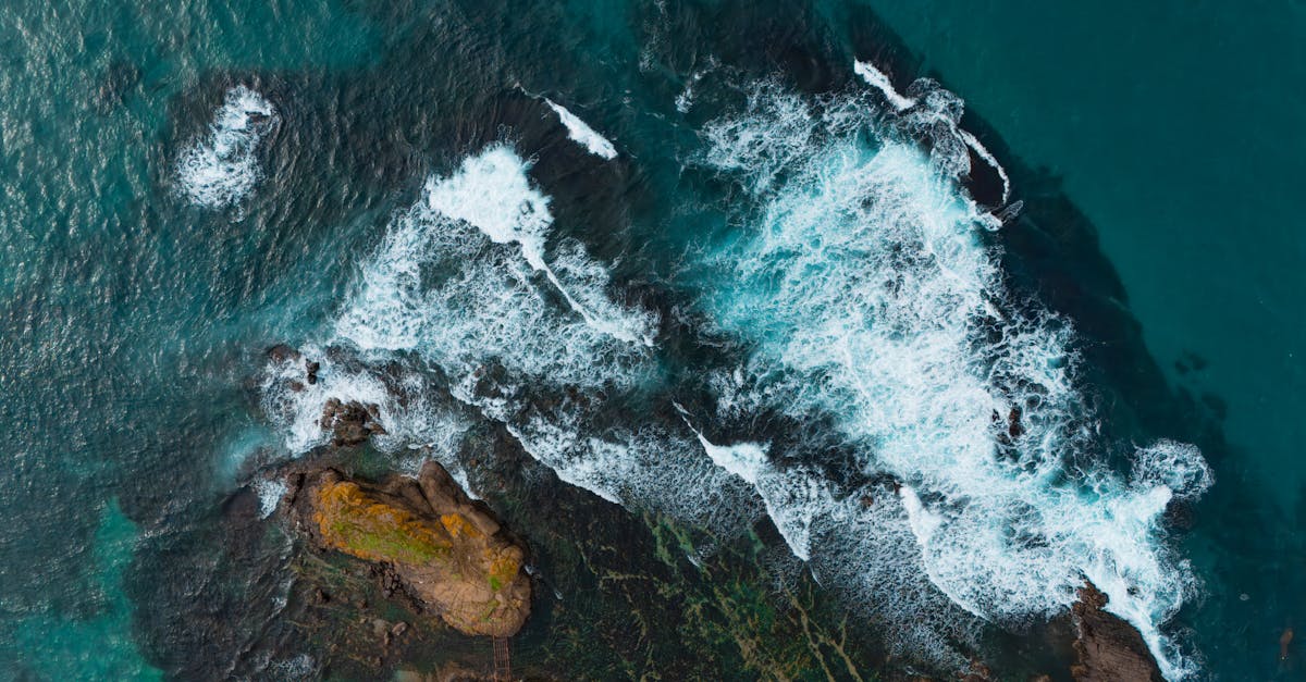 d&eacute;couvrez les &eacute;v&eacute;nements oc&eacute;anographiques majeurs, leurs impacts sur l'environnement marin et les avanc&eacute;es scientifiques associ&eacute;es.