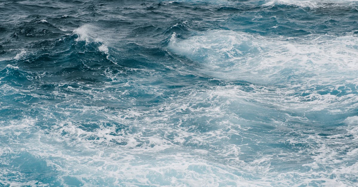 découvrez tout sur les océans : leur biodiversité, leur importance écologique, et les défis liés à leur préservation.