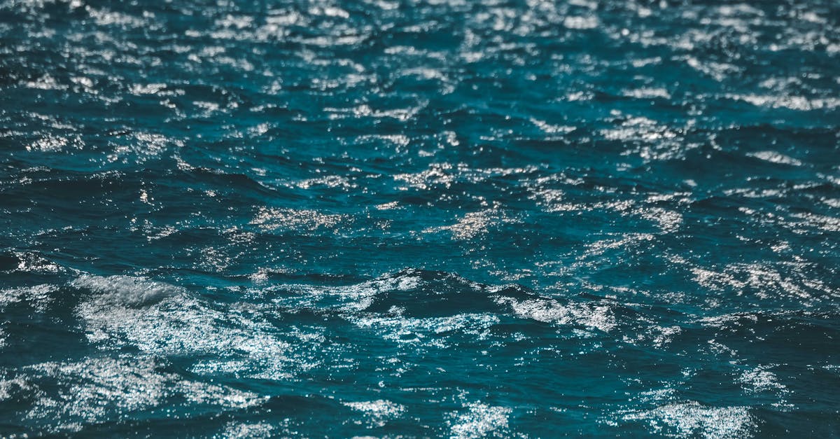 découvrez les mystères des océans, leurs écosystèmes fascinants et l'importance vitale qu'ils jouent pour notre planète.