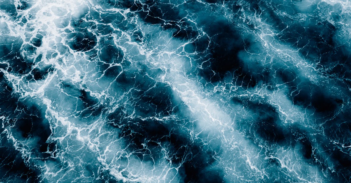 découvrez les mystères et la beauté des océans, vastes étendues d'eau qui abritent une incroyable diversité de vie marine et jouent un rôle crucial dans l'équilibre de notre planète.