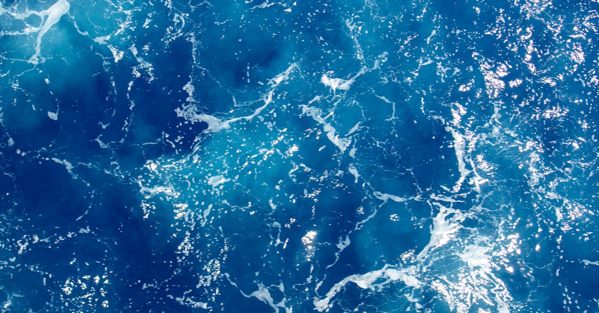 d&eacute;couvrez la beaut&eacute; myst&eacute;rieuse des oc&eacute;ans, leur biodiversit&eacute; fascinante, et l'importance vitale qu'ils jouent pour notre plan&egrave;te.