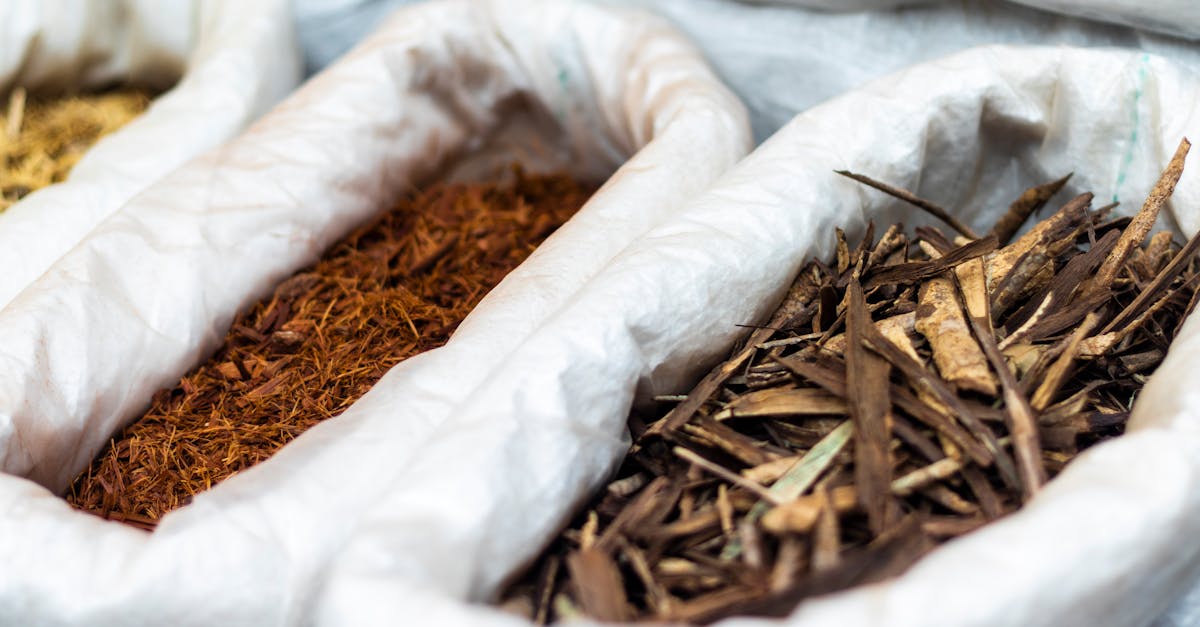 forum d&eacute;di&eacute; aux alternatives biologiques : &eacute;changez, d&eacute;couvrez et discutez des solutions naturelles et &eacute;cologiques pour un mode de vie sain et responsable.