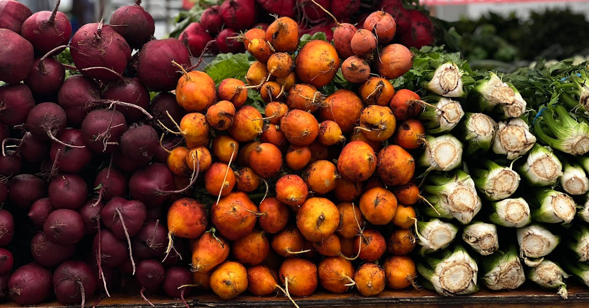 forum d&eacute;di&eacute; aux alternatives biologiques : &eacute;changez, d&eacute;couvrez et partagez des solutions naturelles et &eacute;cologiques pour un mode de vie plus sain et respectueux de l'environnement.
