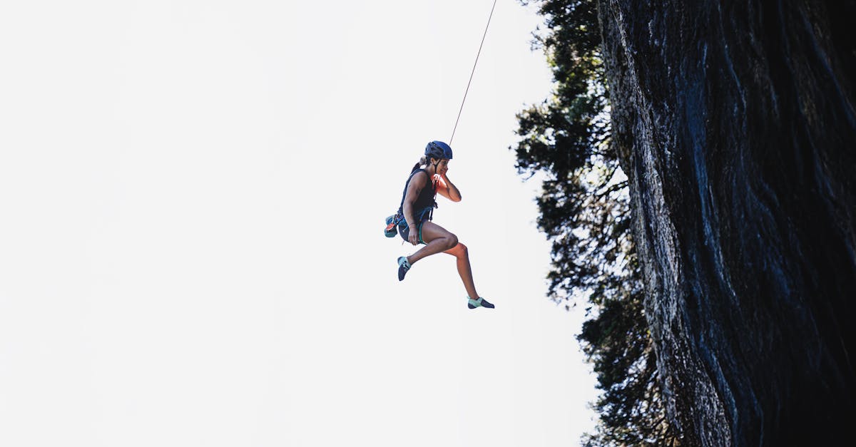 d&eacute;couvrez comment la pers&eacute;v&eacute;rance permet de surmonter les obstacles et d'atteindre ses objectifs avec d&eacute;termination et courage.