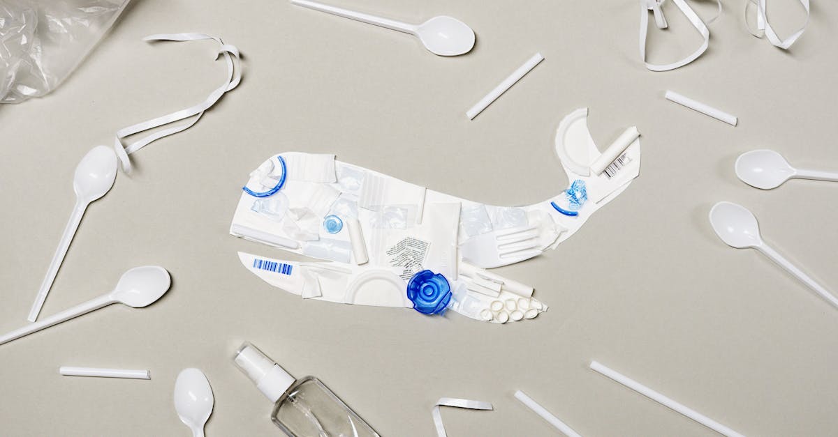 d&eacute;couvrez des solutions et conseils pour adopter un mode de vie sans plastique et r&eacute;duire votre impact environnemental.