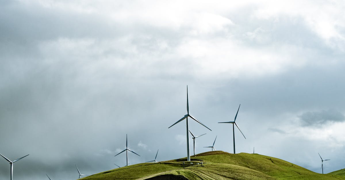 d&eacute;couvrez les avantages des &eacute;nergies renouvelables, des solutions durables pour un avenir &eacute;cologique et respectueux de l'environnement.