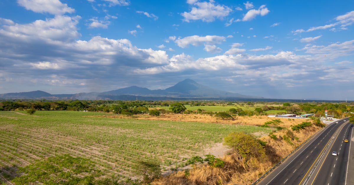 d&eacute;couvrez tout sur le ph&eacute;nom&egrave;ne climatique super el ni&ntilde;o, ses impacts mondiaux et comment il influence le climat.
